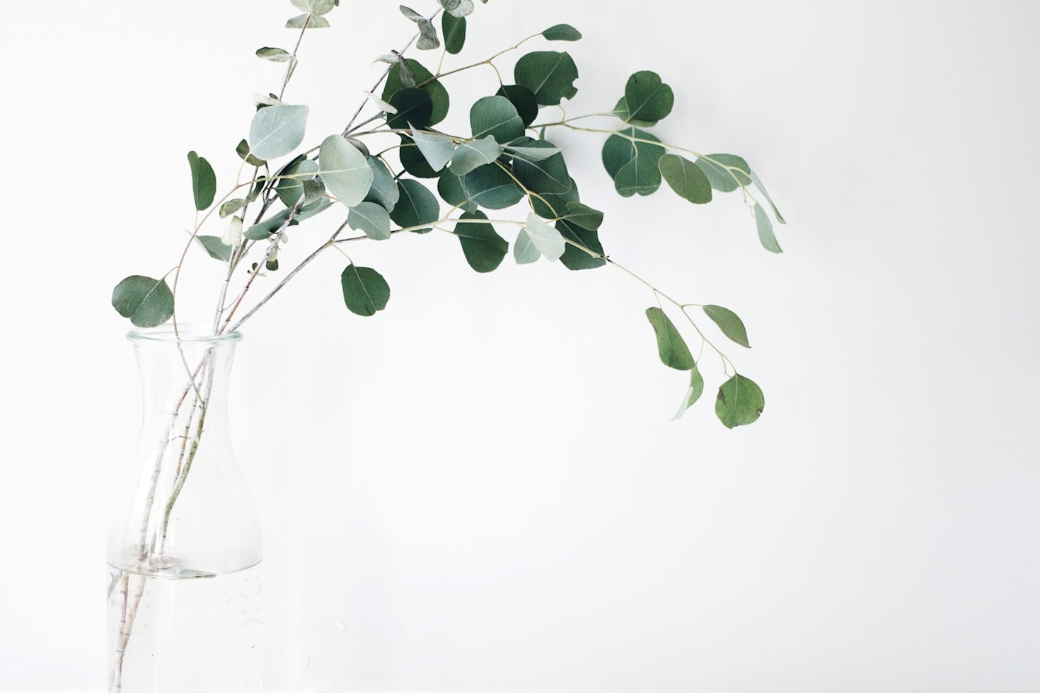 ¿Cómo elegir suplementos naturales para tu bienestar?